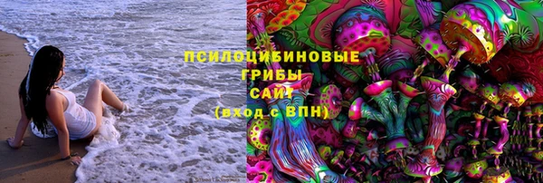 дурь Михайловск