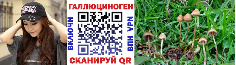 Псилоцибиновые грибы мицелий mega вход Поворино